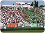 Estamos Locos por Banfield!