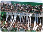 Estamos Locos por Banfield!