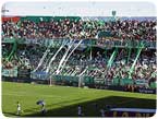 Estamos Locos por Banfield!