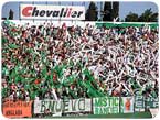 Estamos Locos por Banfield!