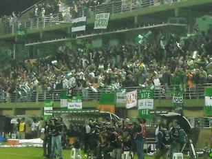 platea banfield