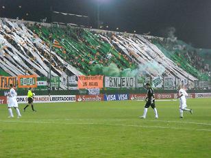 Banfield fiesta