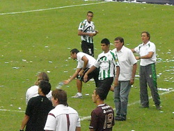 Falcioni Banfield