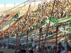 Banfield campeón