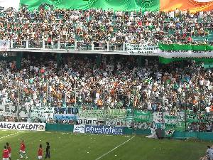 Banfield fiesta