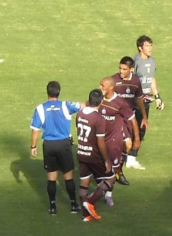 Lanus pinguino