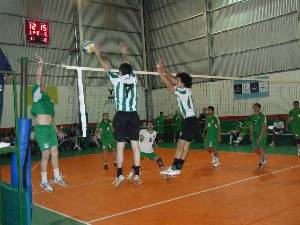 Voley Banfield cabaleros