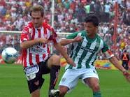 instituto banfield