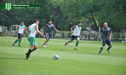 suarez-banfield