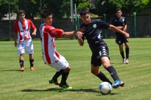 banfield instituto infe