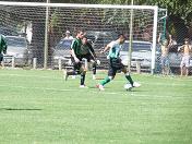 inferiores banfield