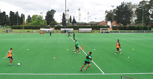entrena banfield