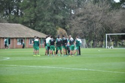 entrenamiento 14