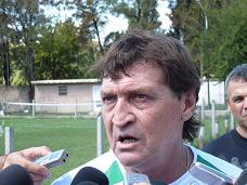 falcioni banfield