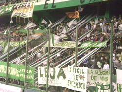 tribuna