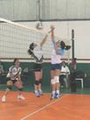 voley banfield