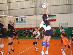 voley banfield